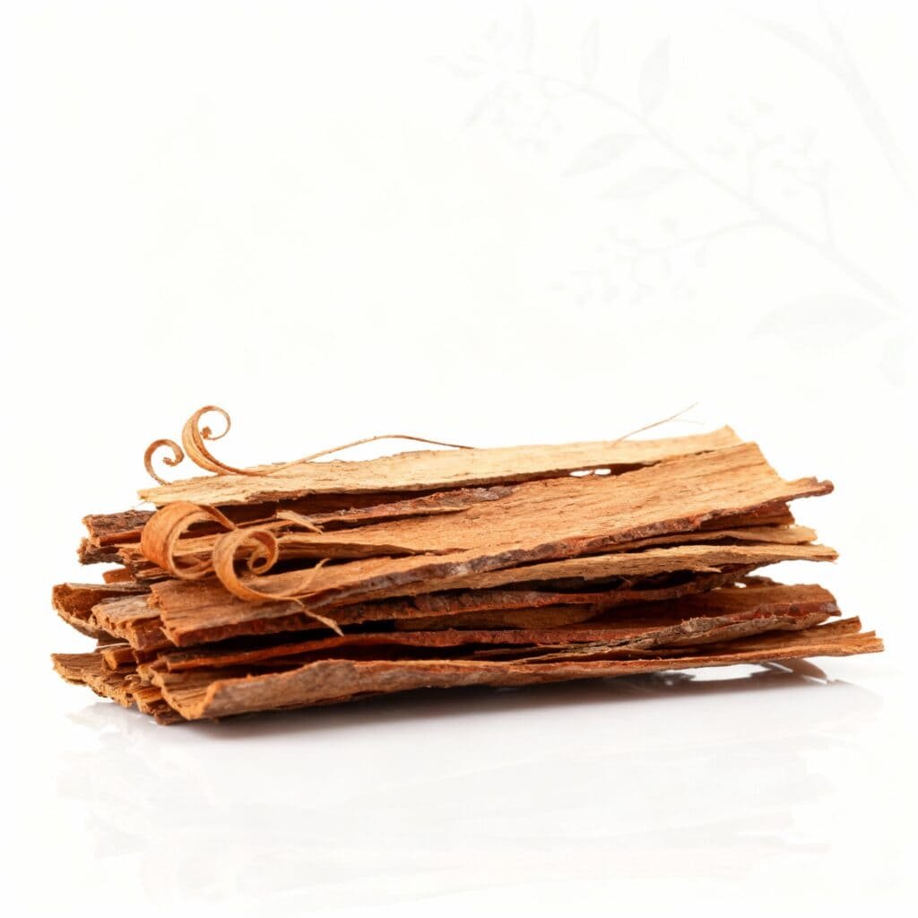 Catuaba bark extract